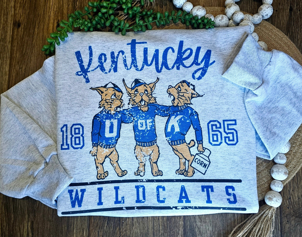 Restocked! Vintage Kentucky Wildcats 1865 Sweatshirt