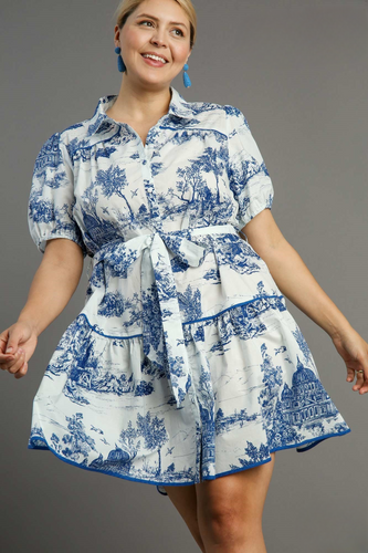 Emily French Toile Button Mini Dress