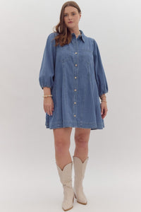 Addie Denim Button Down Shirt Dress