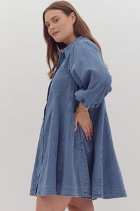 Addie Denim Button Down Shirt Dress