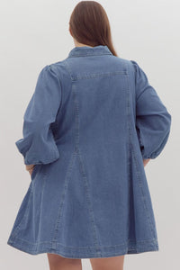 Addie Denim Button Down Shirt Dress