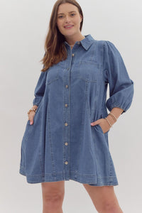 Addie Denim Button Down Shirt Dress