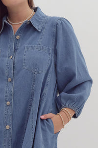 Addie Denim Button Down Shirt Dress